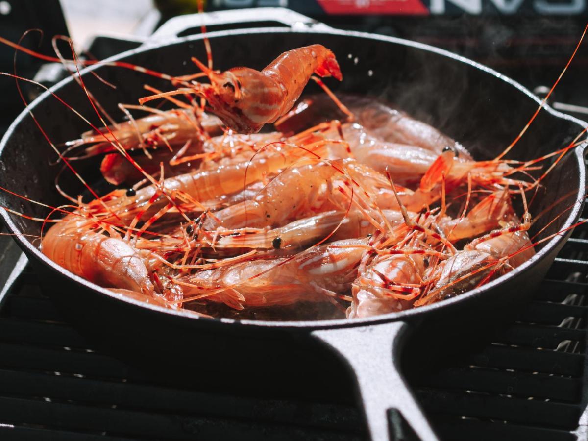 Lunar Cove Inn Charters And Tours Tofino Ngoại thất bức ảnh