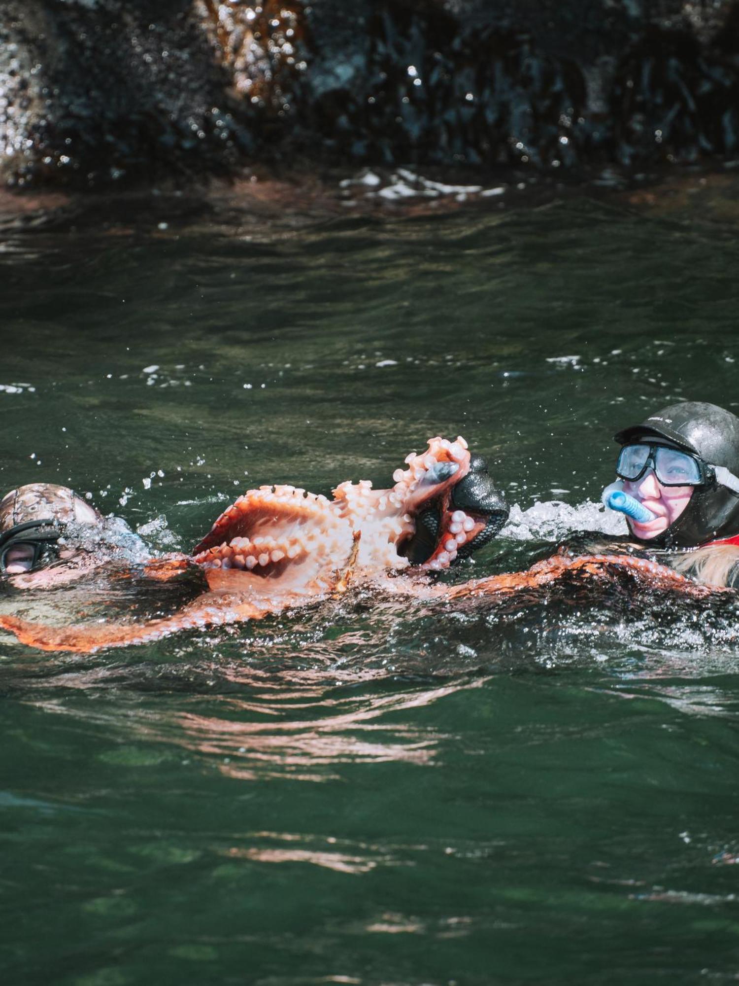 Lunar Cove Inn Charters And Tours Tofino Ngoại thất bức ảnh